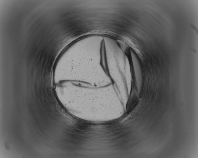 X0000091221276200709061452