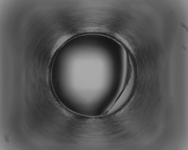 X0000091221277200709061452