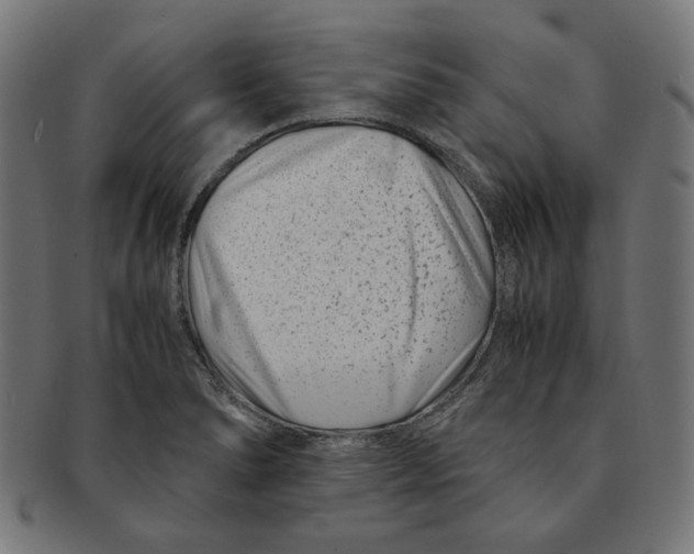 X0000091221278200709061452