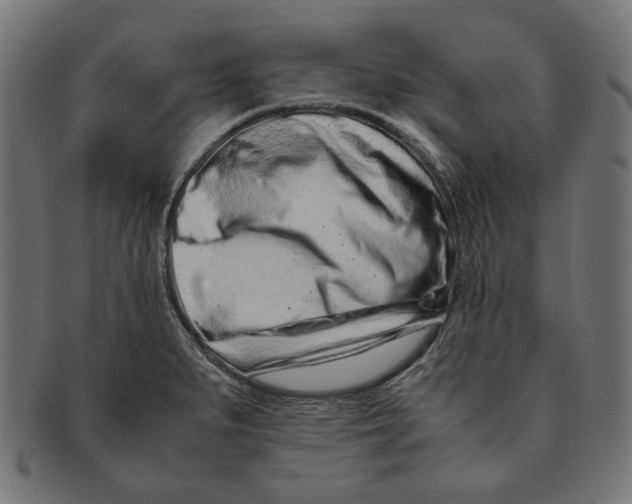 X0000091221279200709061452