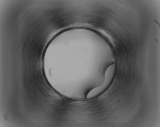 X0000091221280200709061452