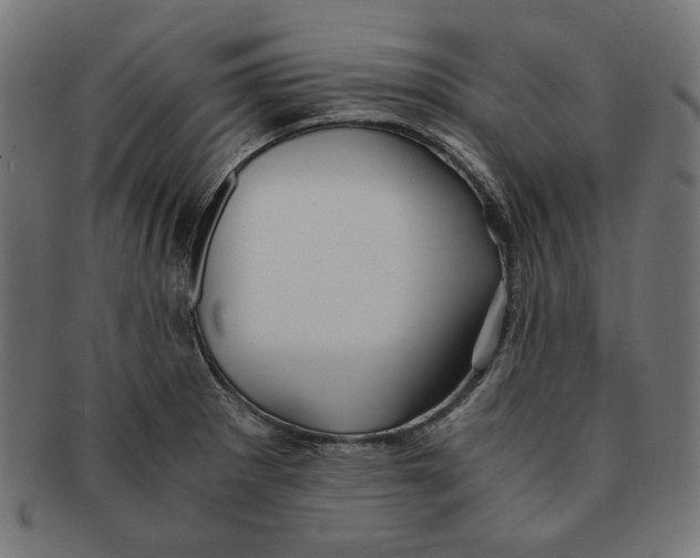 X0000091221281200709061452