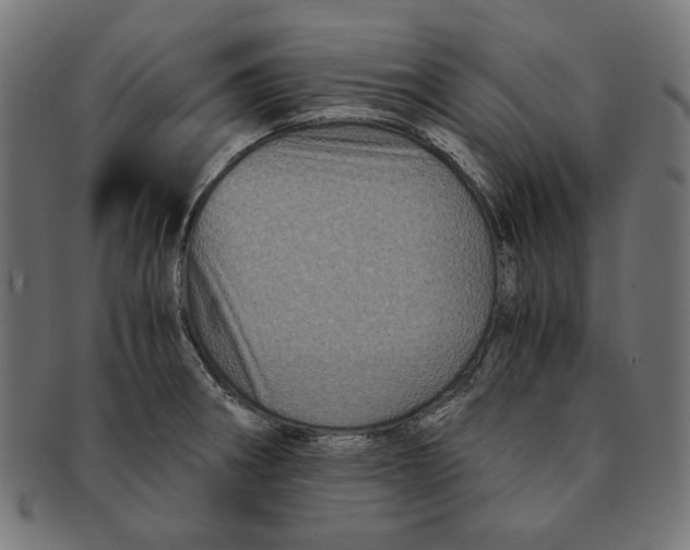 X0000091221282200709061452