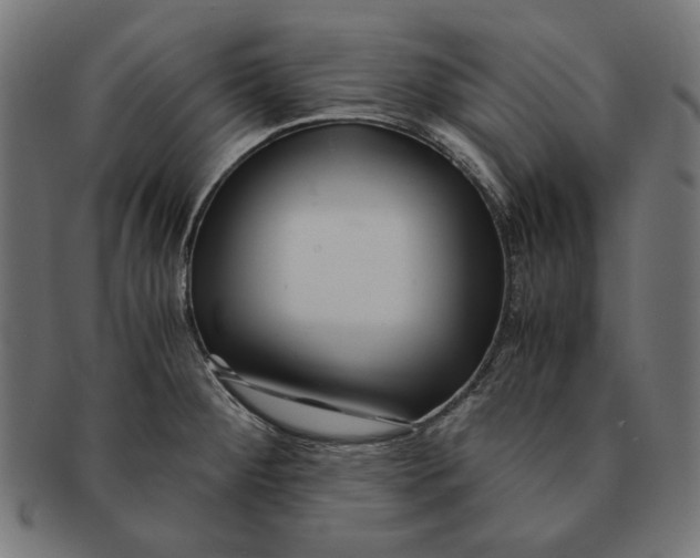 X0000091221284200709061452