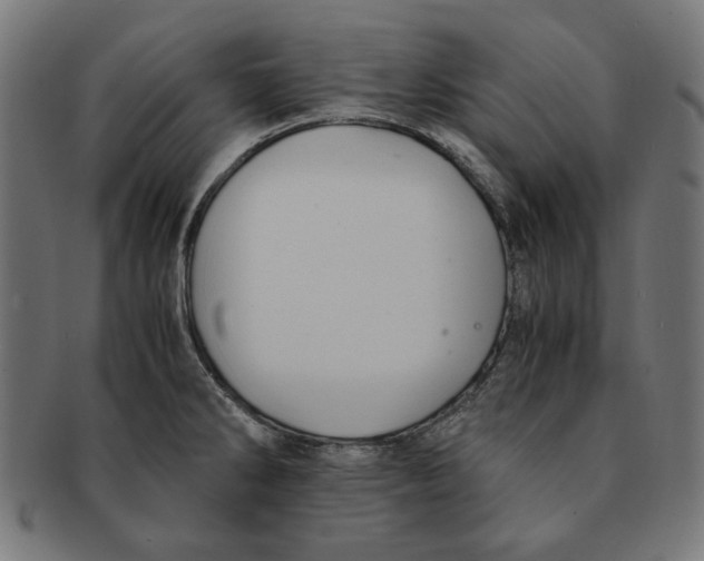 X0000091221286200709061452