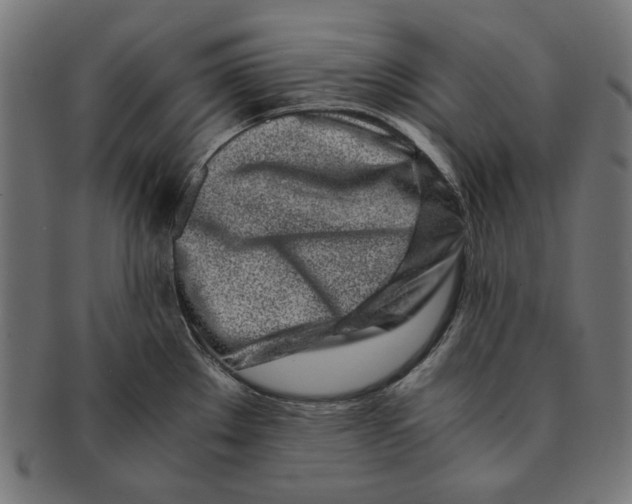 X0000091221289200709061452