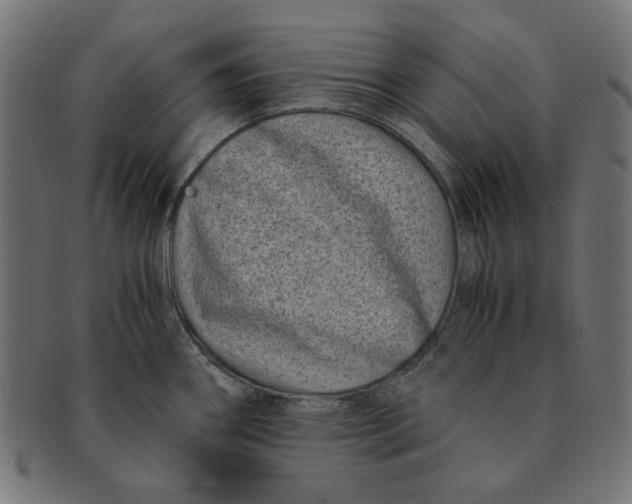 X0000091221290200709061452