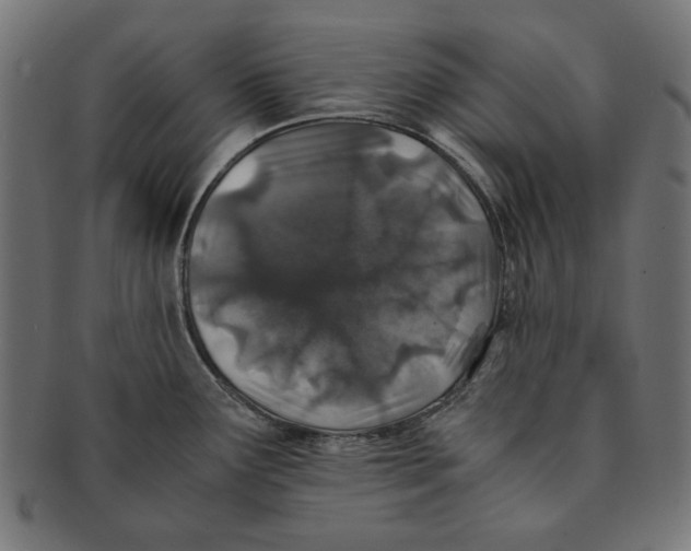 X0000091221291200709061451