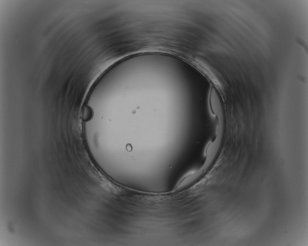 X0000091221292200709061451