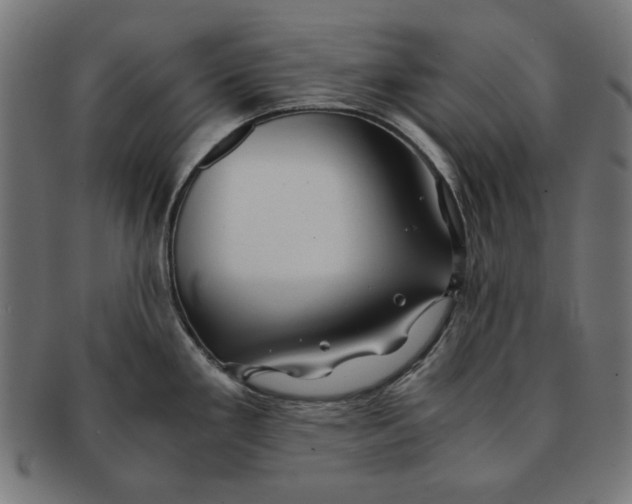 X0000091221293200709061451