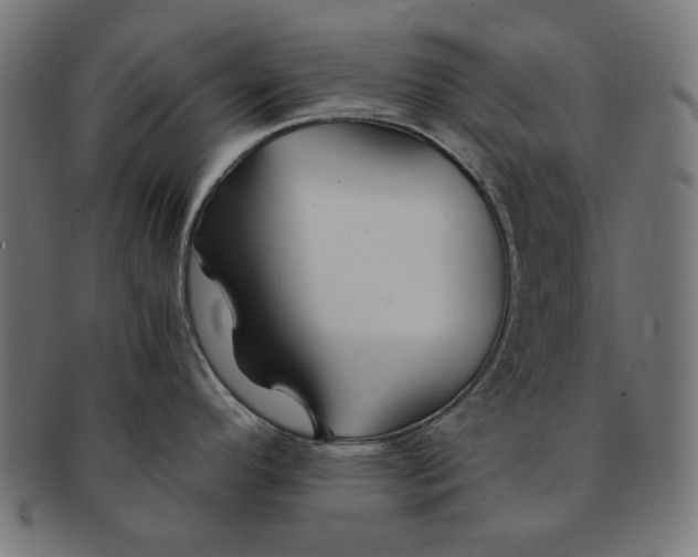 X0000091221296200709061451