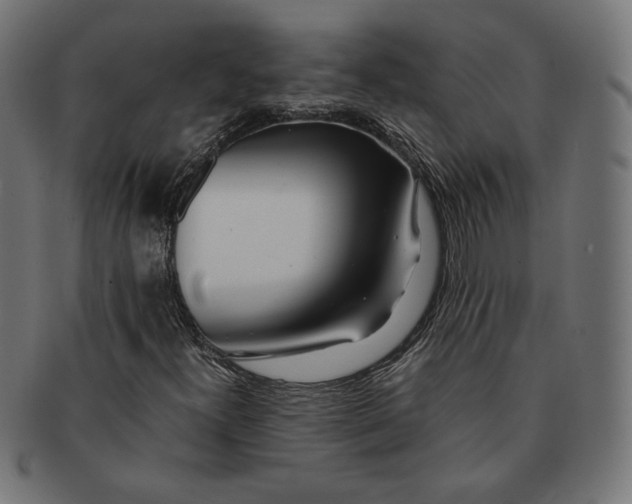 X0000091221300200709061451