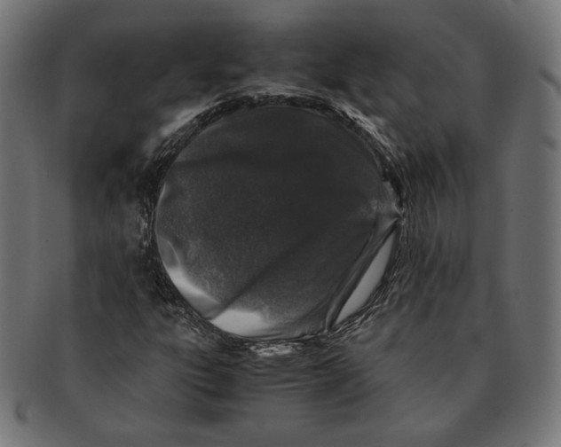 X0000091221303200709061451