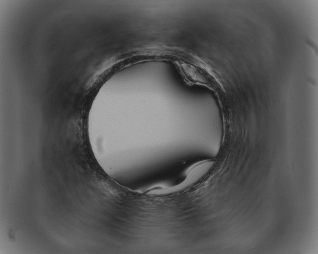 X0000091221304200709061451