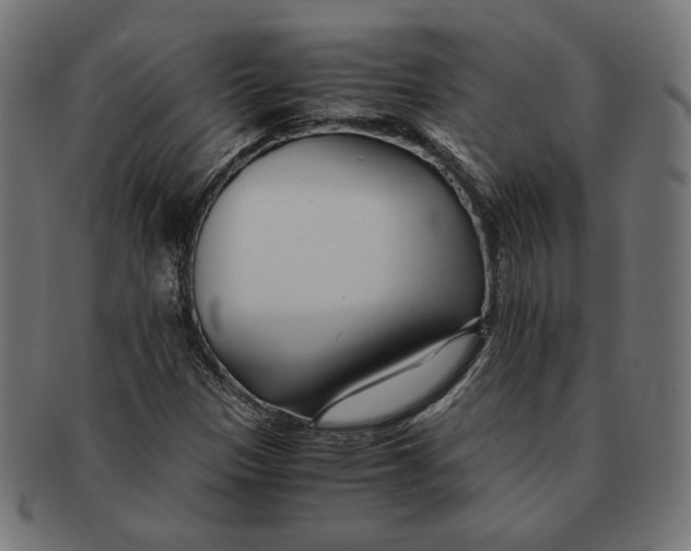 X0000091221305200709061451