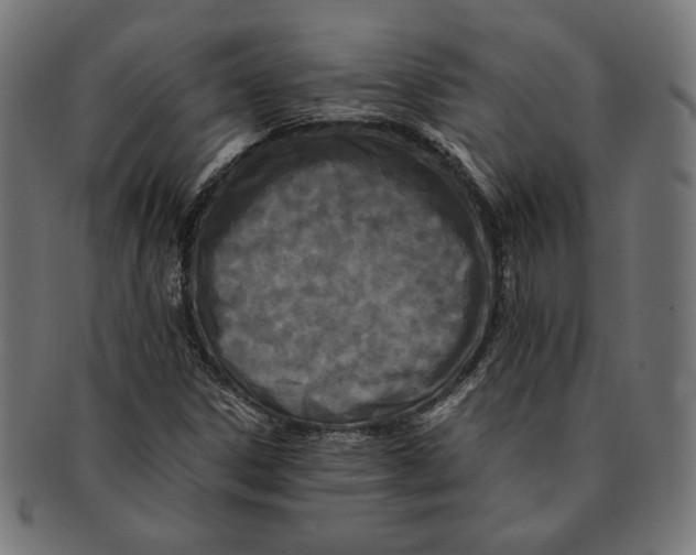 X0000091221306200709061451