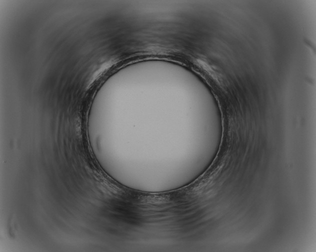 X0000091221307200709061451