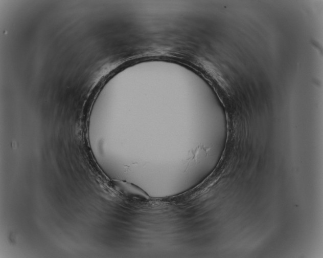 X0000091221308200709061451