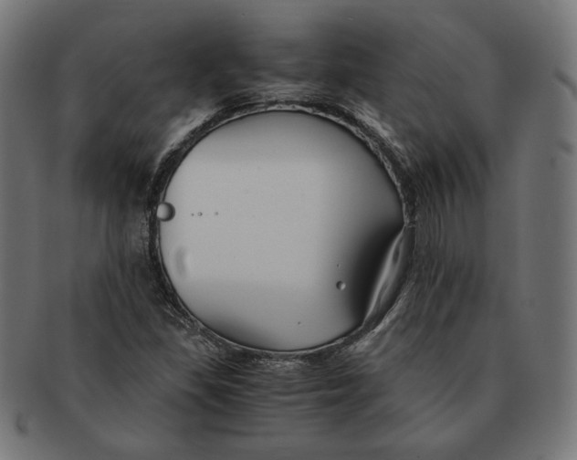 X0000091221309200709061451