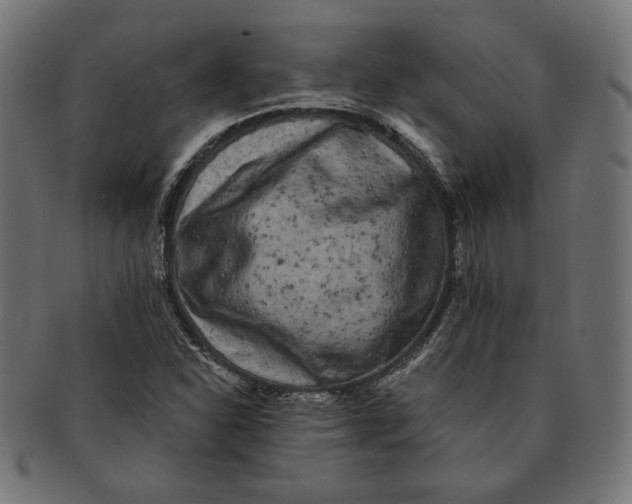 X0000091221310200709061451