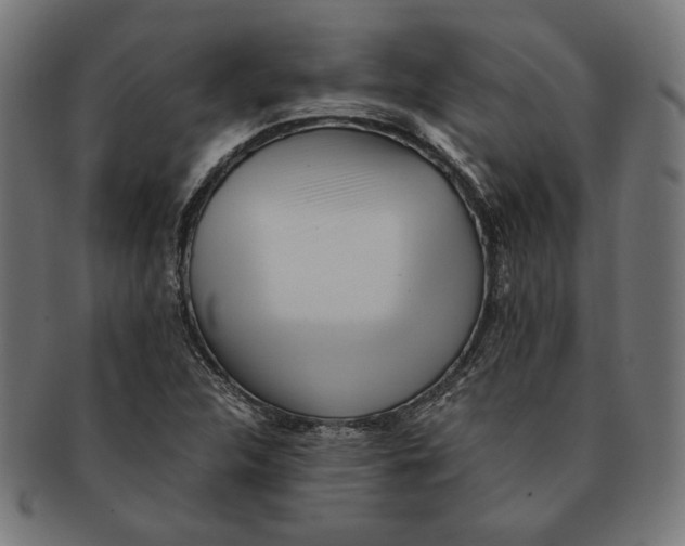 X0000091221312200709061451