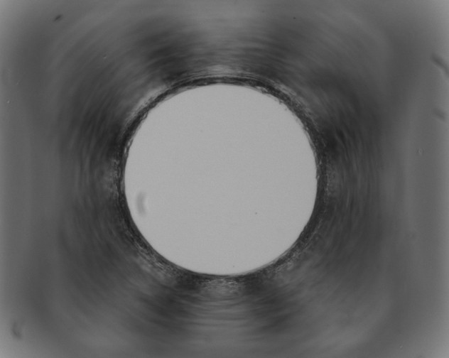 X0000091221314200709061451