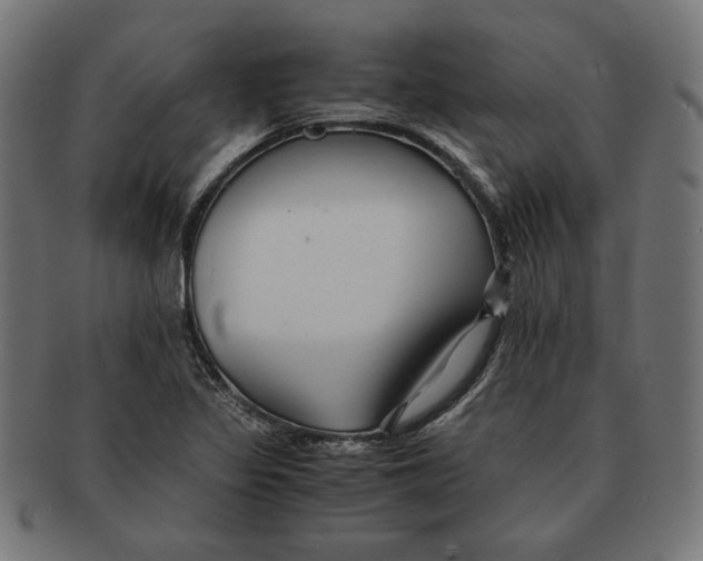 X0000091221317200709061451