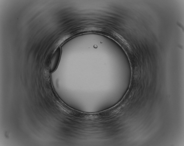 X0000091221321200709061451