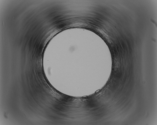 X0000091221322200709061451