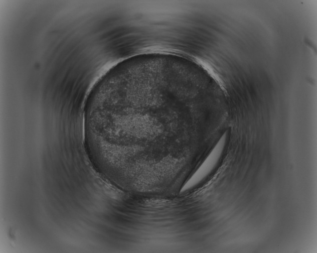 X0000091221323200709061451