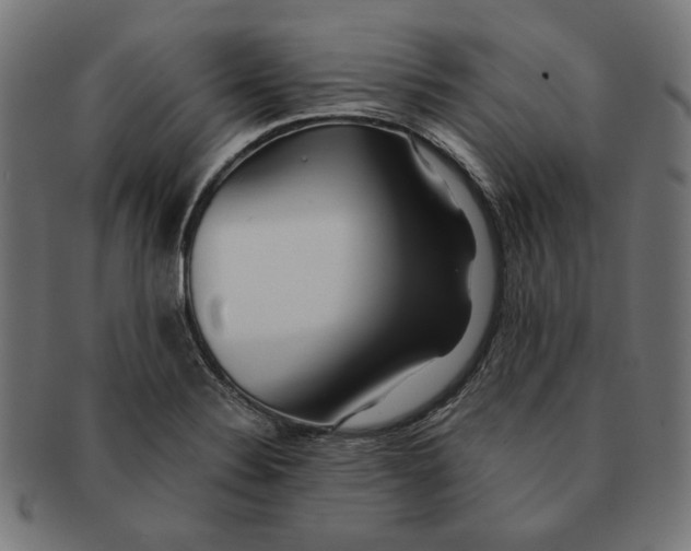 X0000091221324200709061451