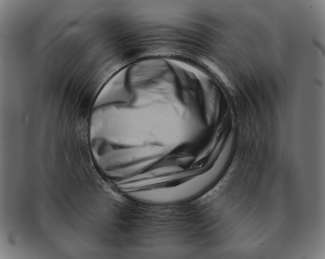 X0000091221329200709061451