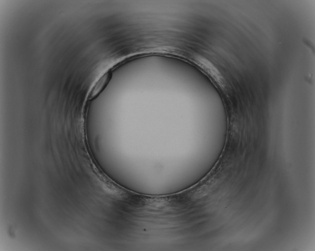 X0000091221332200709061451