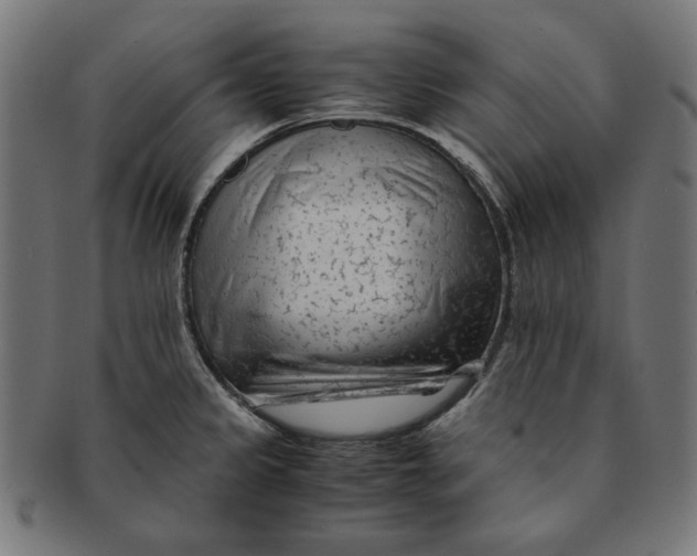 X0000091221333200709061451