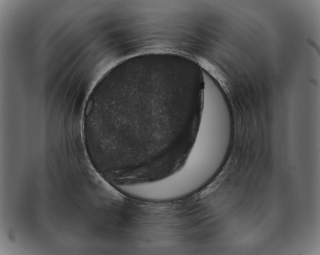 X0000091221334200709061451