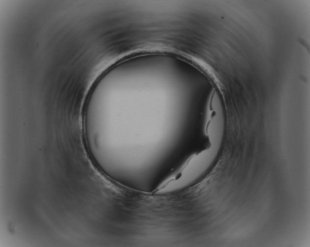 X0000091221335200709061451