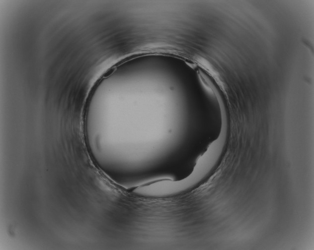 X0000091221336200709061451