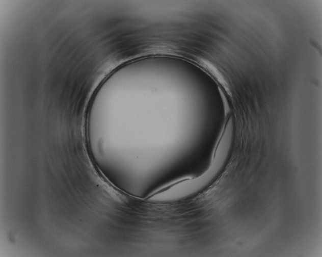 X0000091221339200709061451