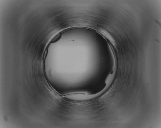 X0000091221340200709061451