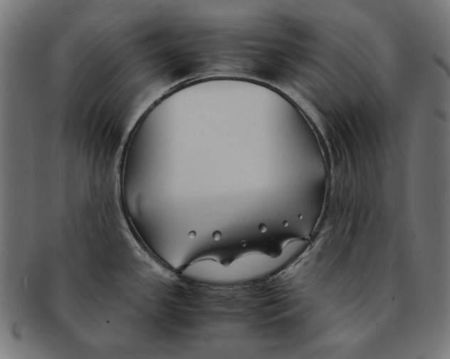 X0000091221341200709061451