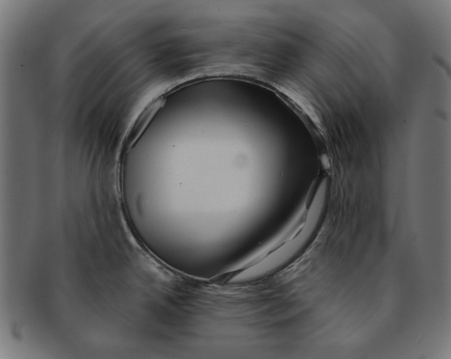 X0000091221342200709061451