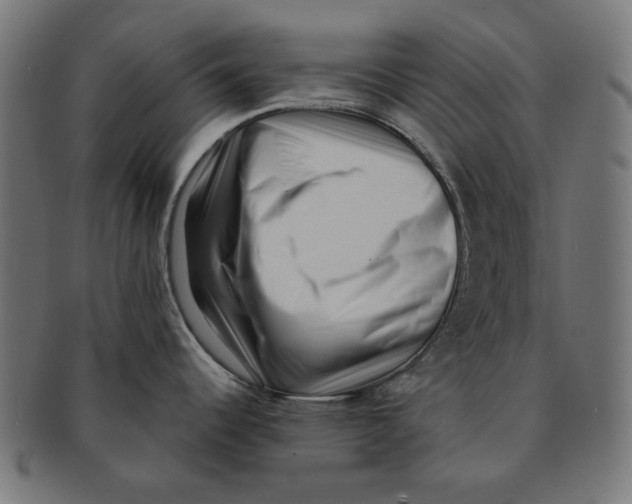 X0000091221344200709061451