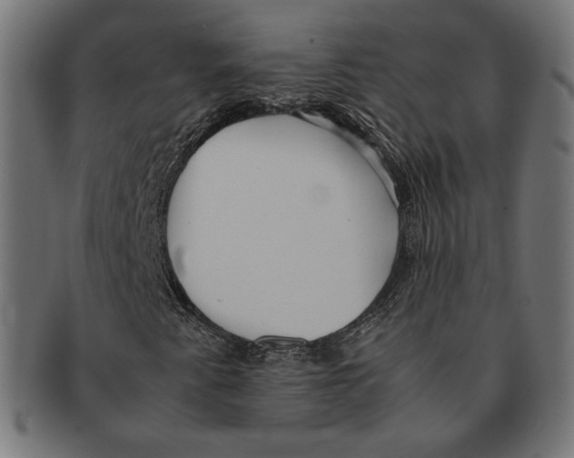 X0000091221345200709061451