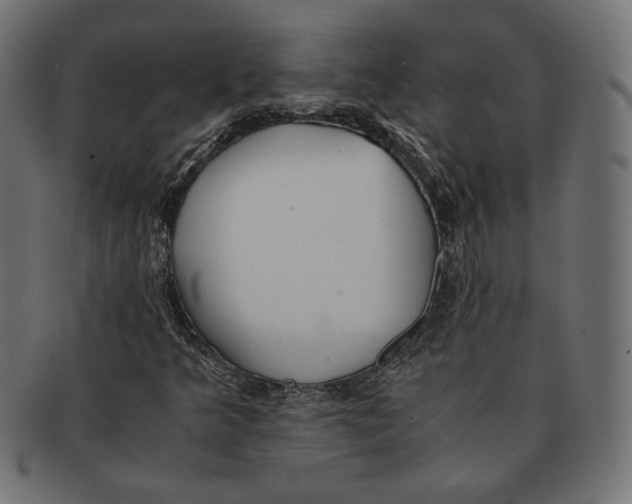 X0000091221349200709061451