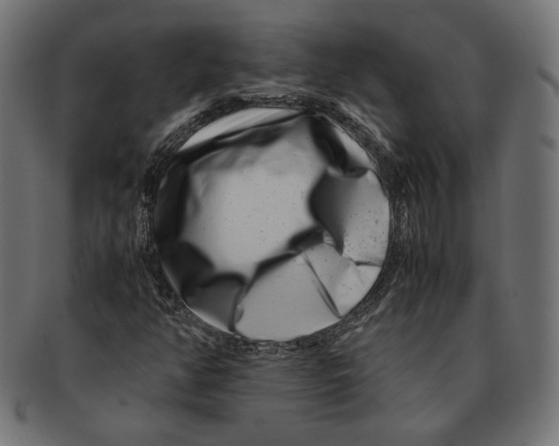 X0000091221350200709061451