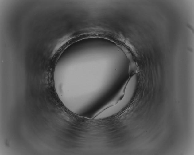 X0000091221352200709061451