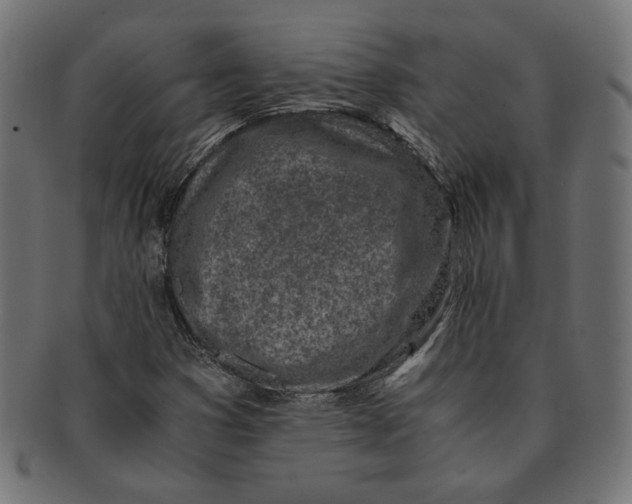 X0000091221353200709061451