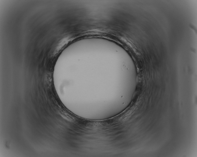 X0000091221355200709061451