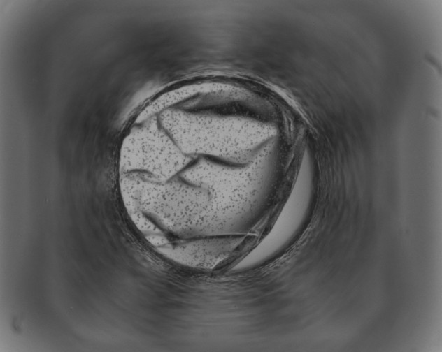 X0000091221359200709061451