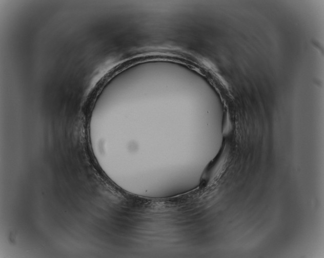 X0000091221360200709061451